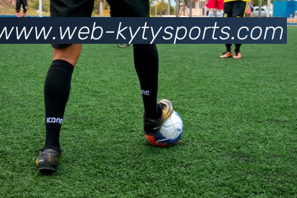 开云体育发展历程